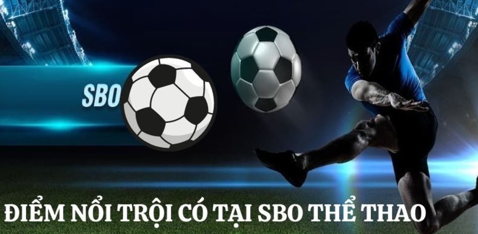 Vì sao nên chọn sbobet vipwin để cá cược?